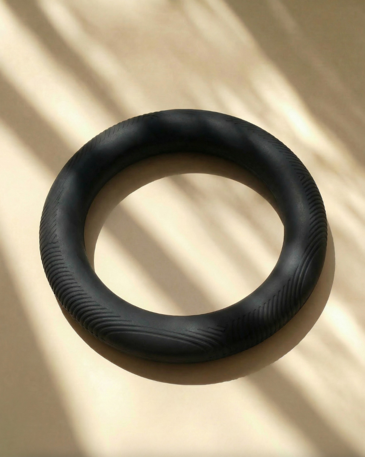 Sculpted Pilates Weight Ring
