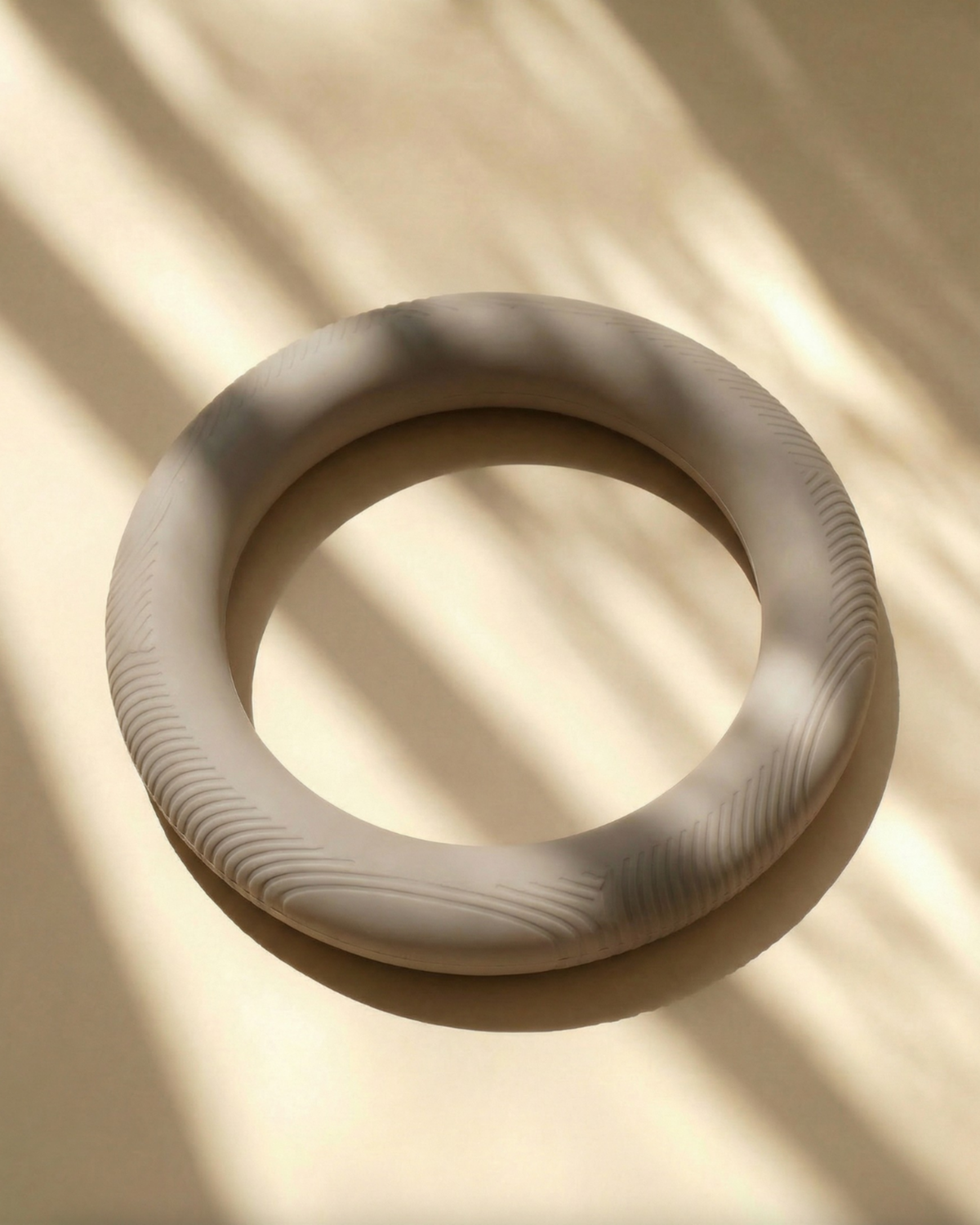 Sculpted Pilates Weight Ring
